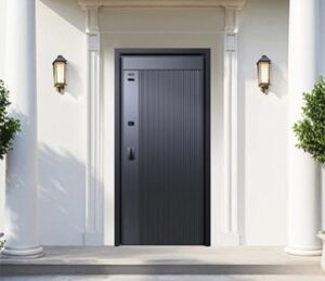 Tenon M88 Single Smart Door